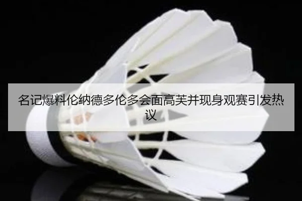 名记爆料伦纳德多伦多会面高芙并现身观赛引发热议